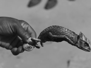 Lomé–12©lecorbeau